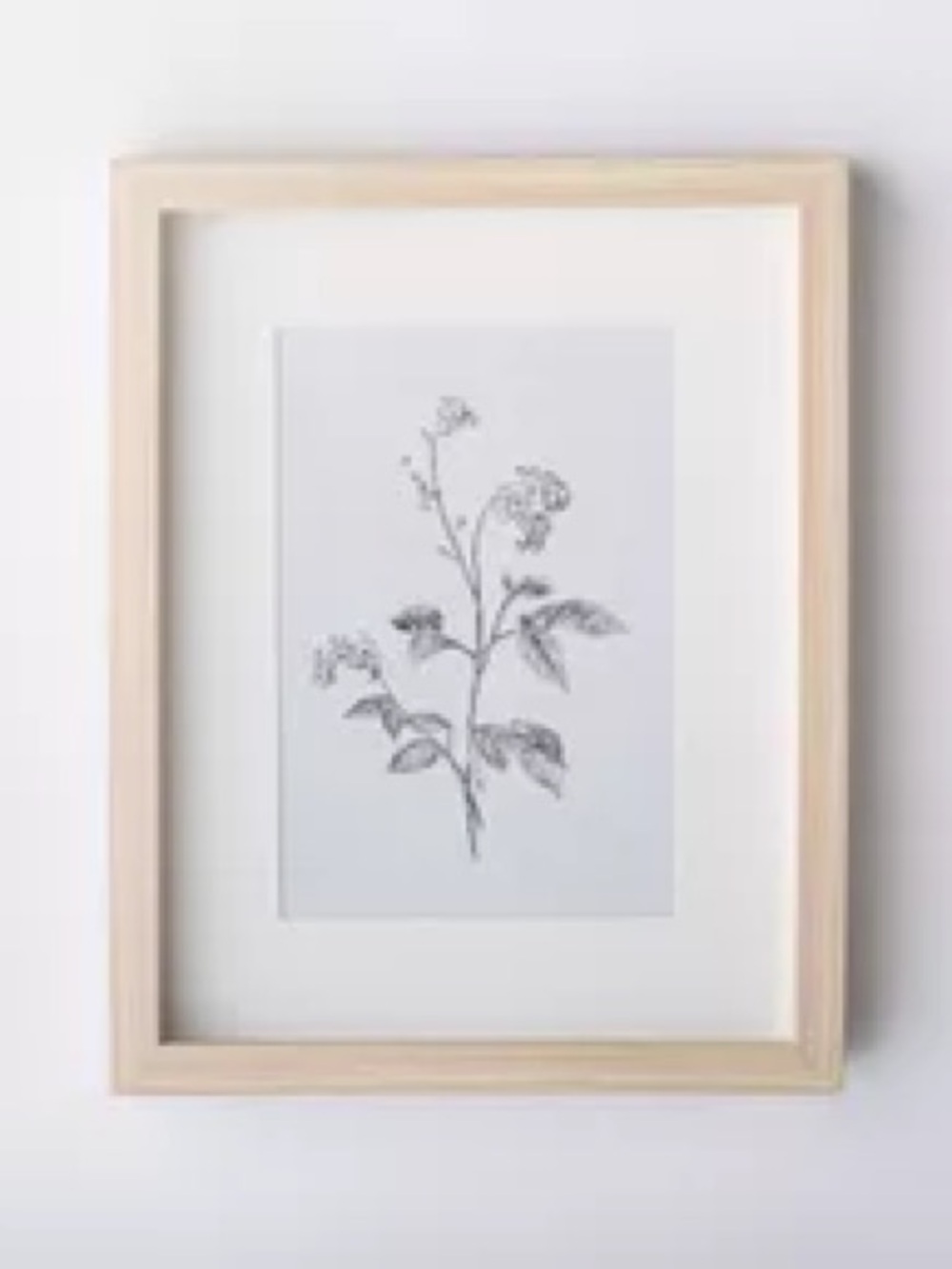 Threshold Studio McGee Botanical Wall Art Print